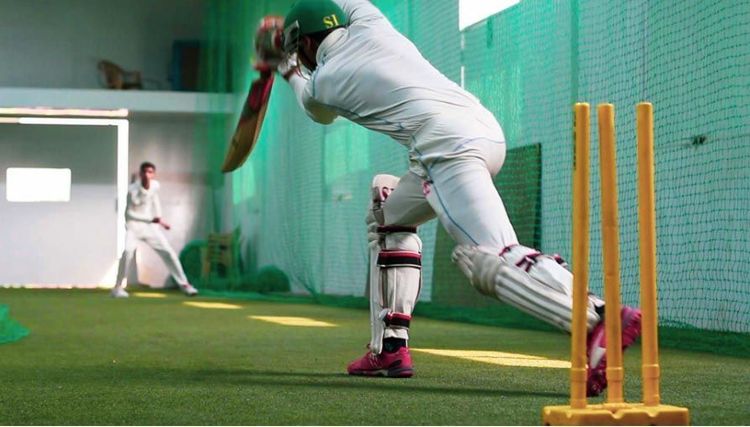  Cricket Image
