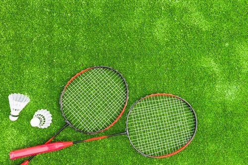  Badminton Image